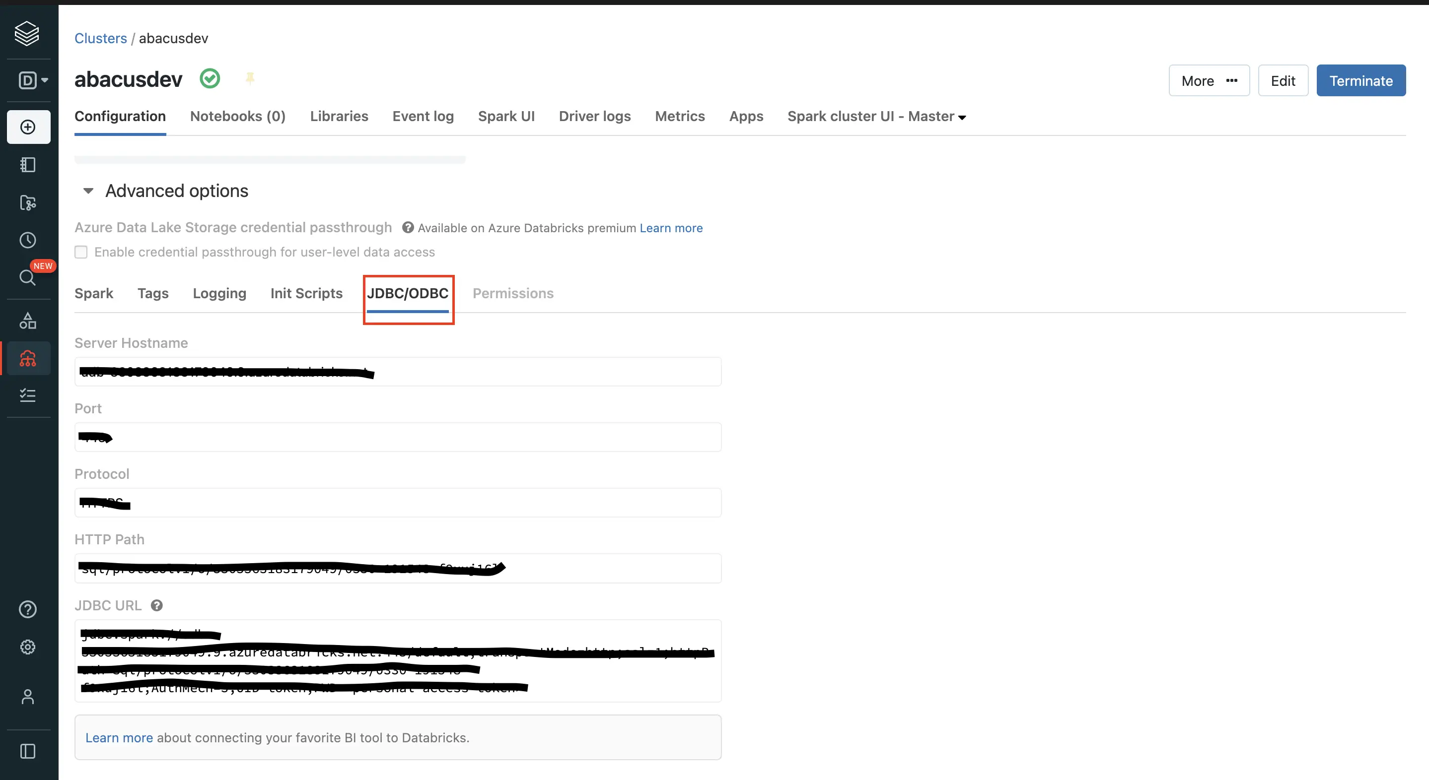 Databricks JDBC Connection Details