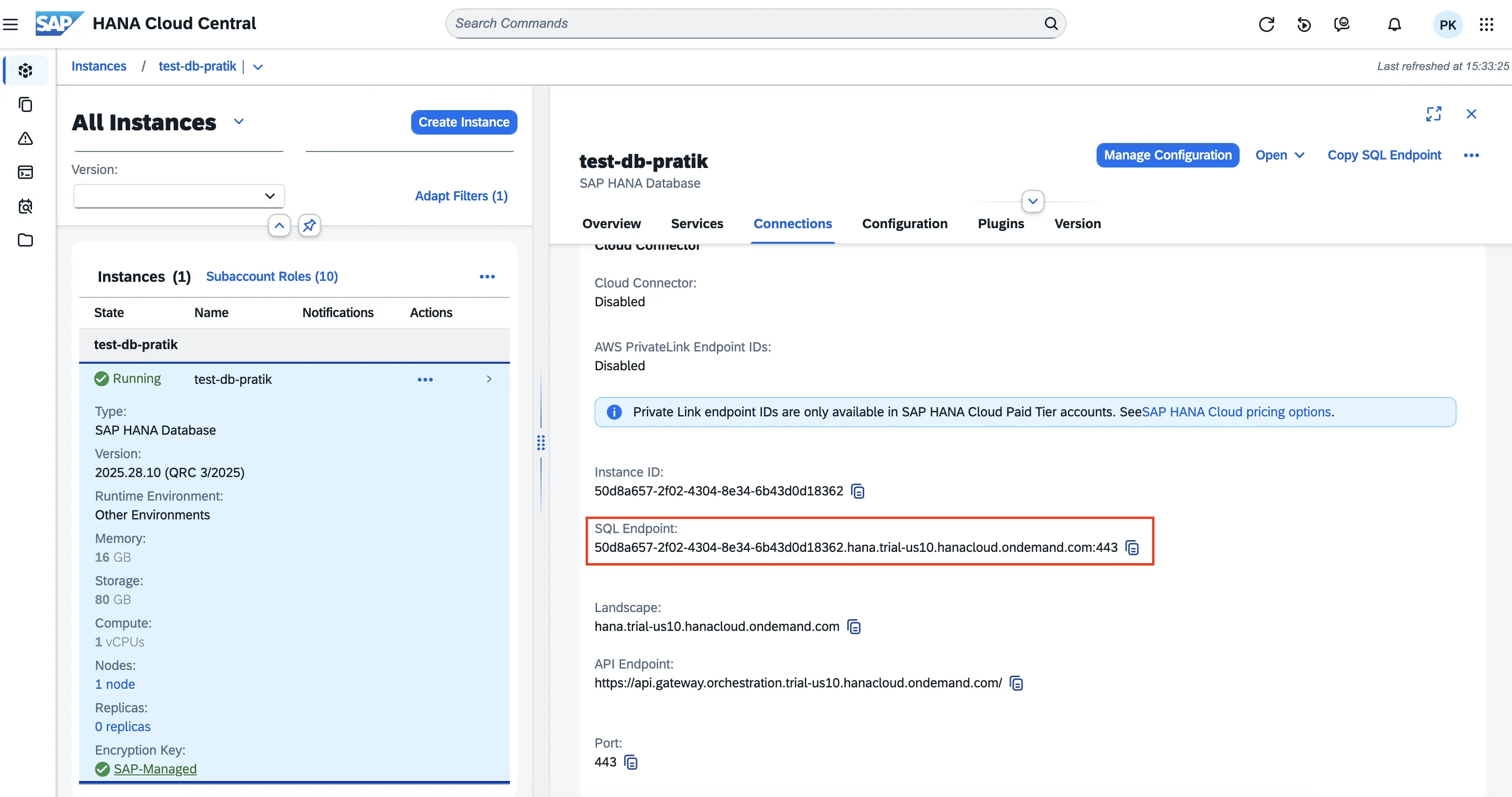 SAP HANA SQL Endpoint