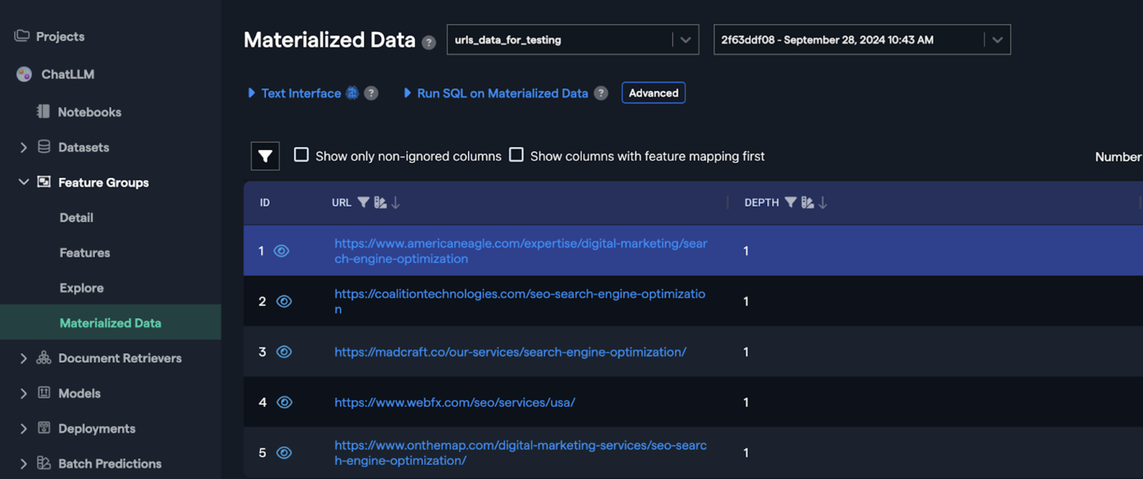 Dataset Example